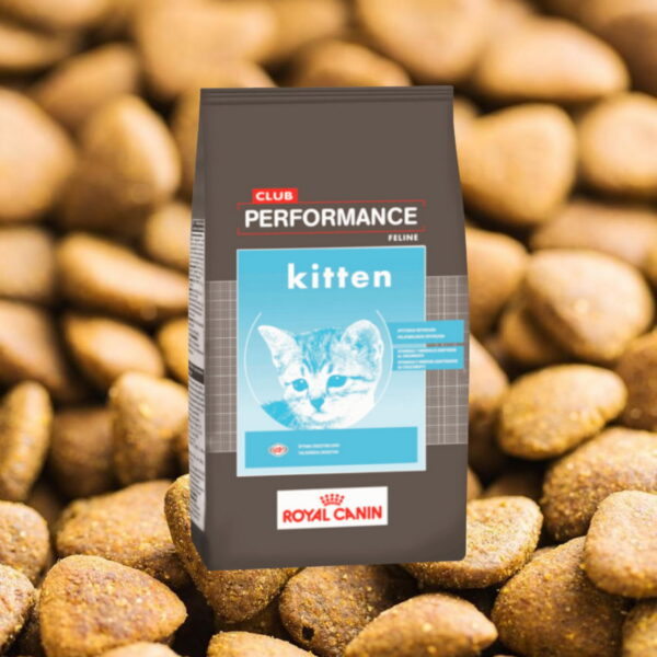 Club Performance Kitten 7.5 kg