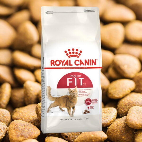 Royal Canin Regular Fit Gato 1.5 kg