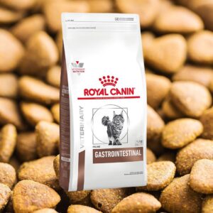 Royal Canin Gastrointestinal Gato 2 kg