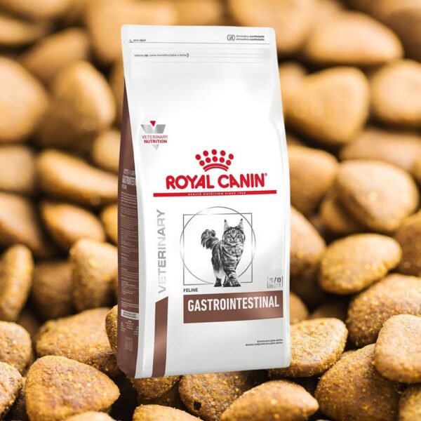 Royal Canin Gastrointestinal Gato 2 kg