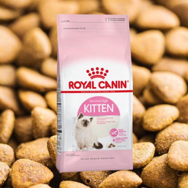 Royal Canin Kitten 1.5 kg
