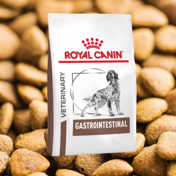 Royal Canin Gastrointestinal Perro 2 kg