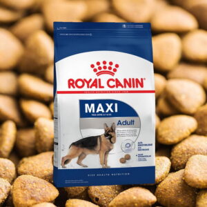 Royal Canin Maxi Adulto 15 kg