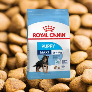 Royal Canin Maxi Puppy 15 kg